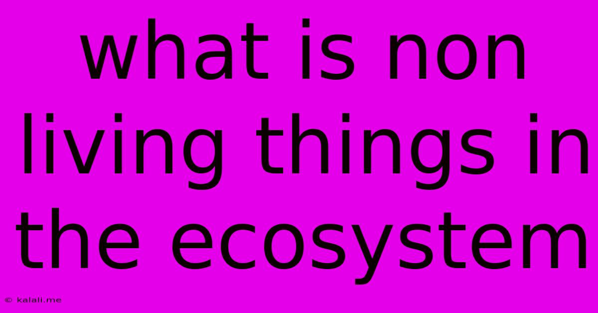 What Is Non Living Things In The Ecosystem
