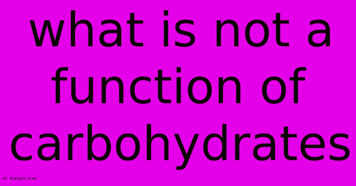What Is Not A Function Of Carbohydrates