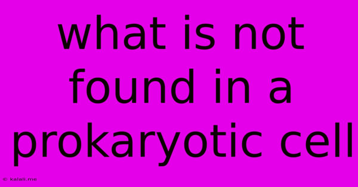 What Is Not Found In A Prokaryotic Cell