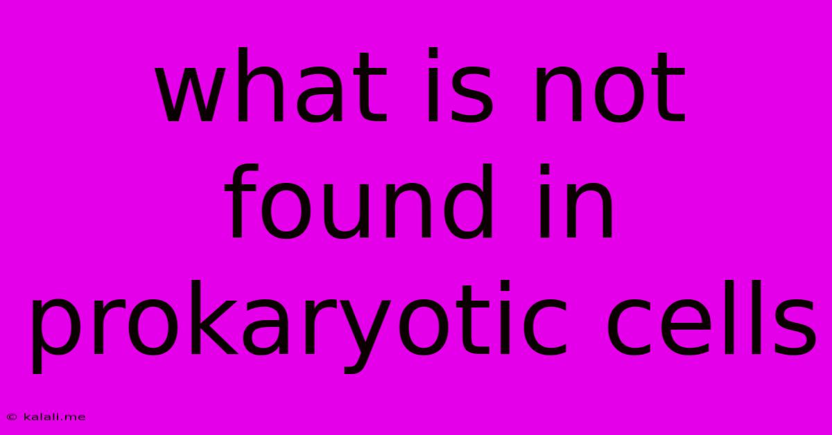 What Is Not Found In Prokaryotic Cells