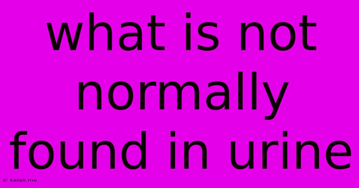 What Is Not Normally Found In Urine