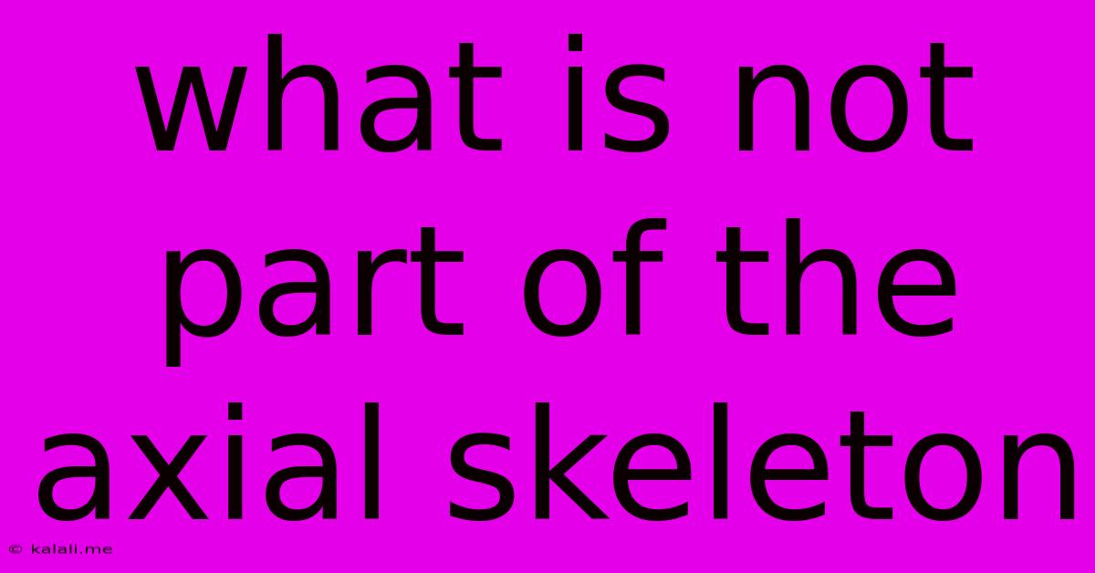 What Is Not Part Of The Axial Skeleton