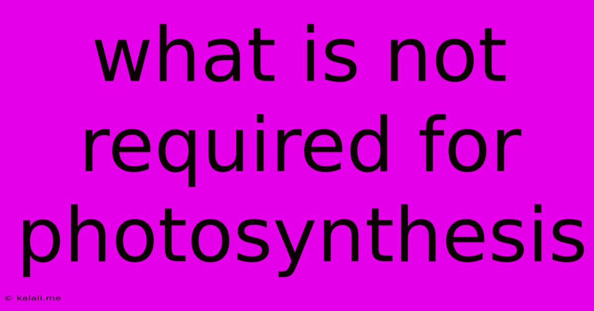 What Is Not Required For Photosynthesis