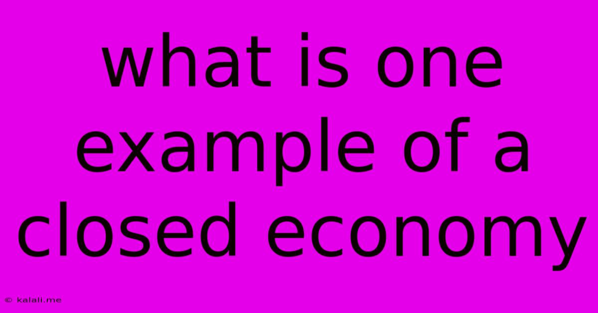 What Is One Example Of A Closed Economy