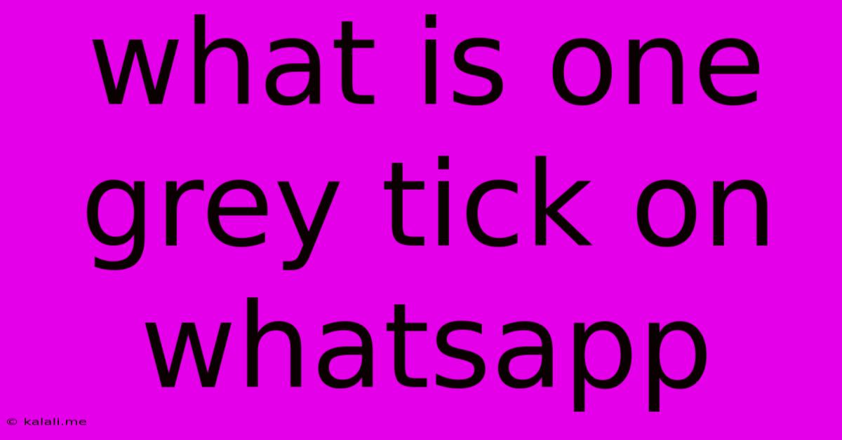 What Is One Grey Tick On Whatsapp