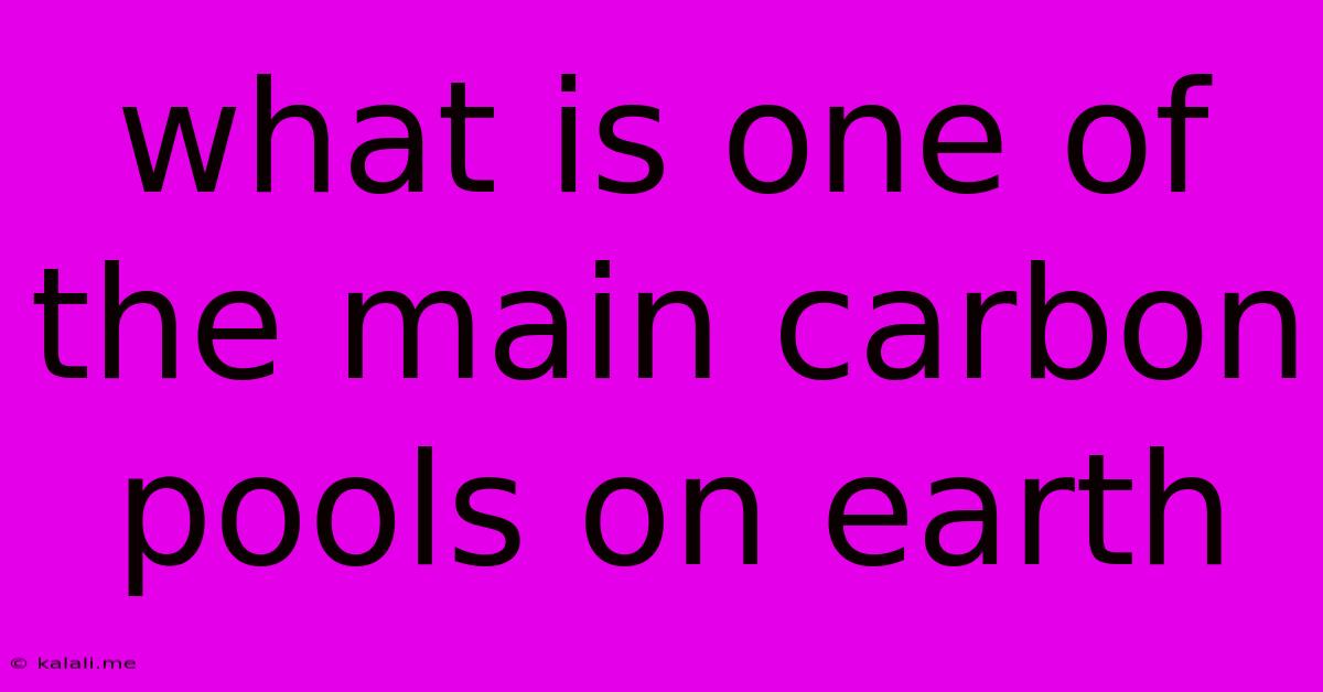 What Is One Of The Main Carbon Pools On Earth