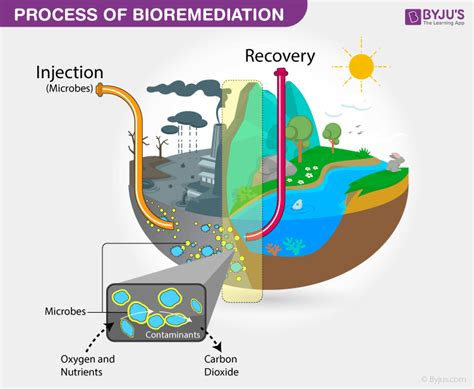 What Is One Of The Primary Benefits Of Bioremediation