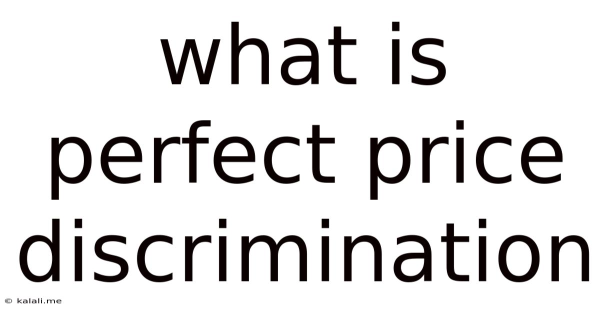 What Is Perfect Price Discrimination