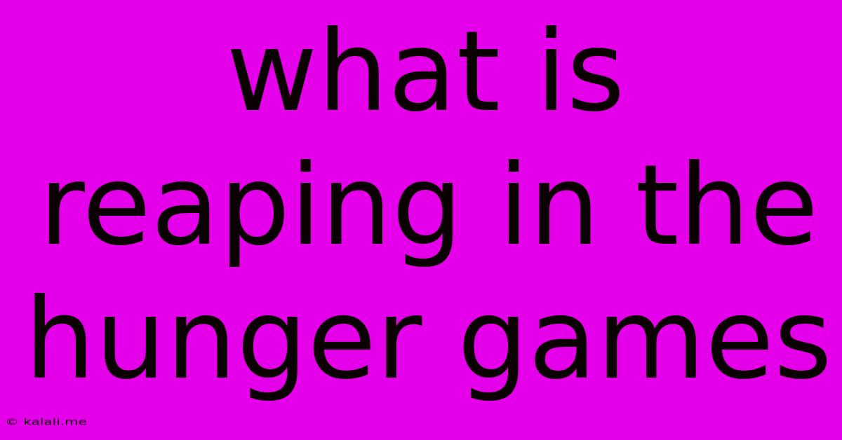 What Is Reaping In The Hunger Games