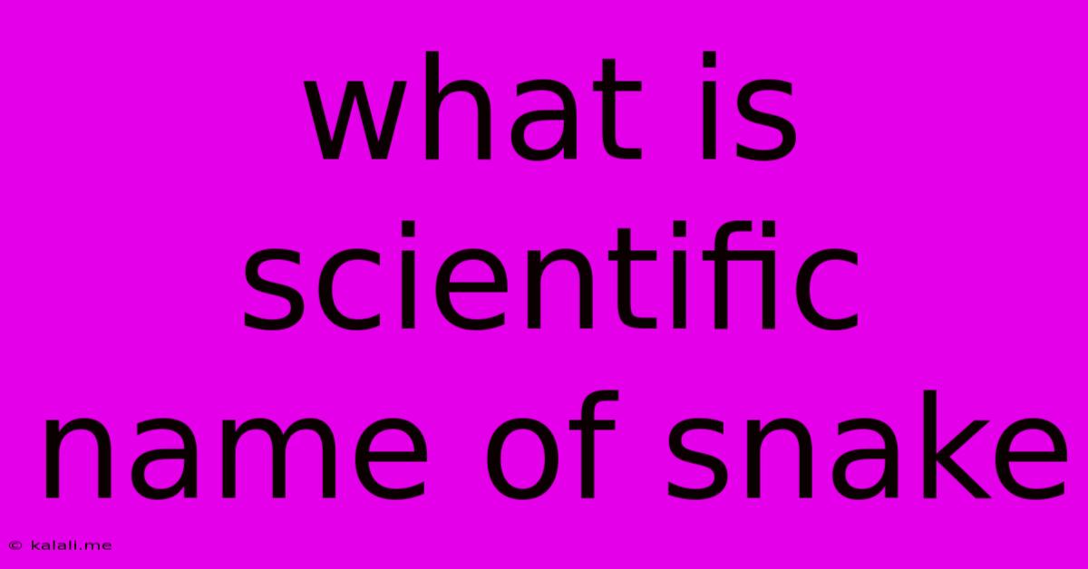 What Is Scientific Name Of Snake