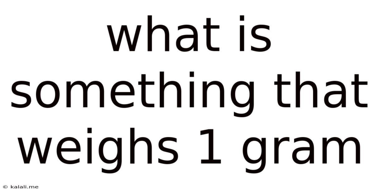What Is Something That Weighs 1 Gram