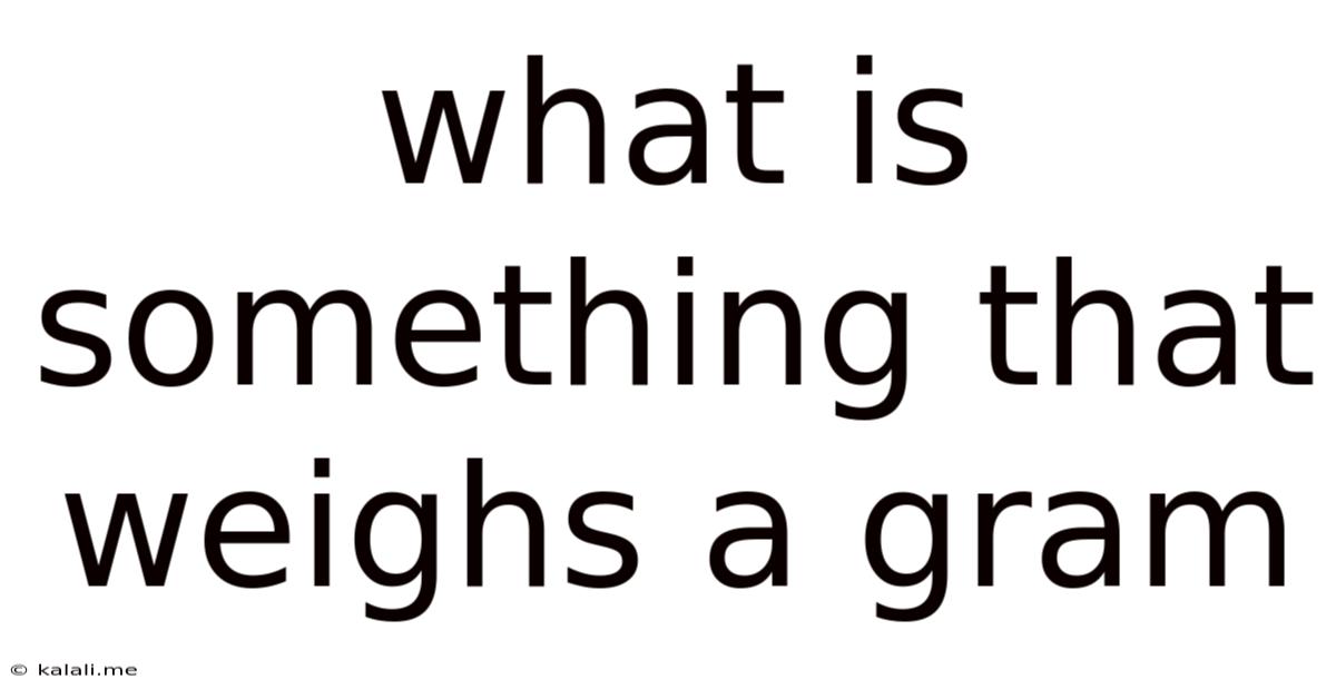 What Is Something That Weighs A Gram