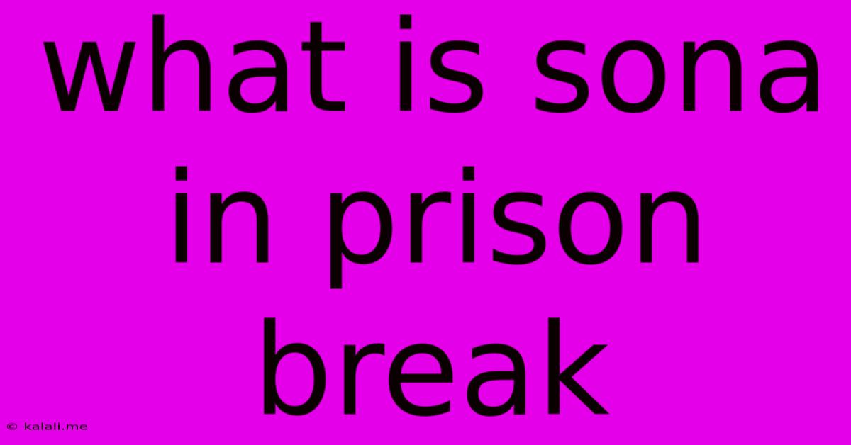 What Is Sona In Prison Break