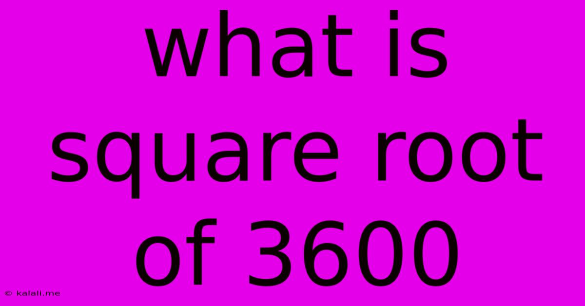What Is Square Root Of 3600