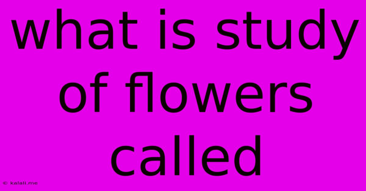 What Is Study Of Flowers Called