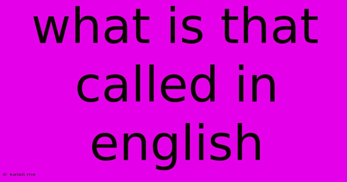 What Is That Called In English