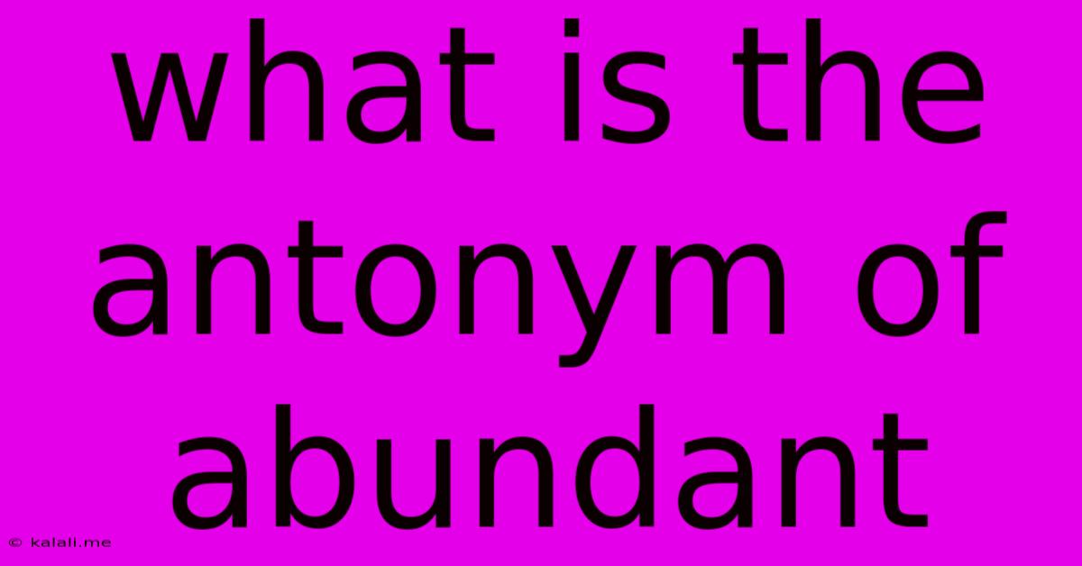 What Is The Antonym Of Abundant