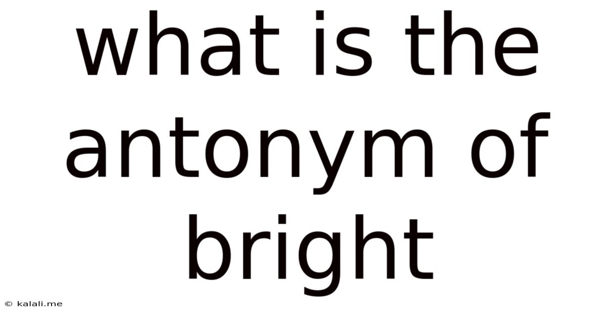 What Is The Antonym Of Bright