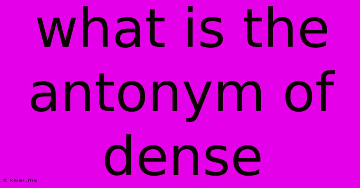 What Is The Antonym Of Dense