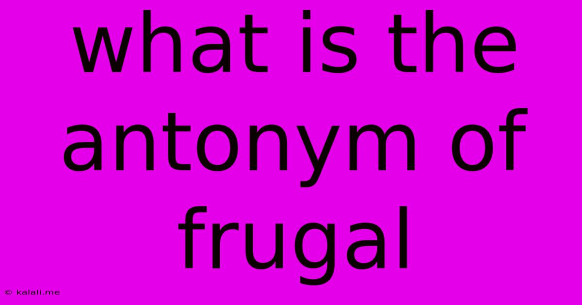 What Is The Antonym Of Frugal