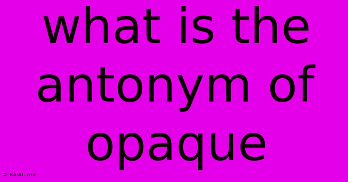 What Is The Antonym Of Opaque