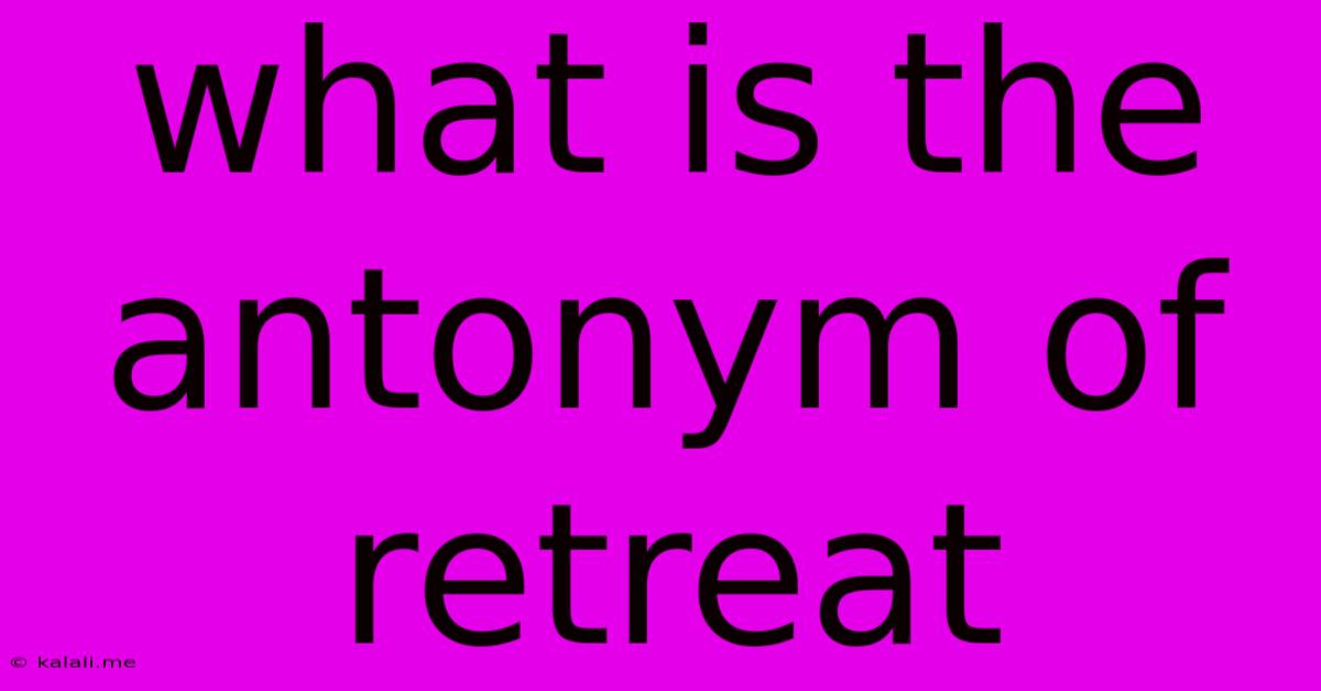 What Is The Antonym Of Retreat