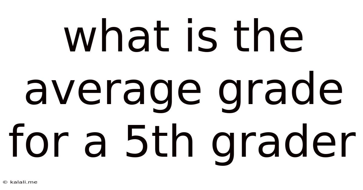 What Is The Average Grade For A 5th Grader