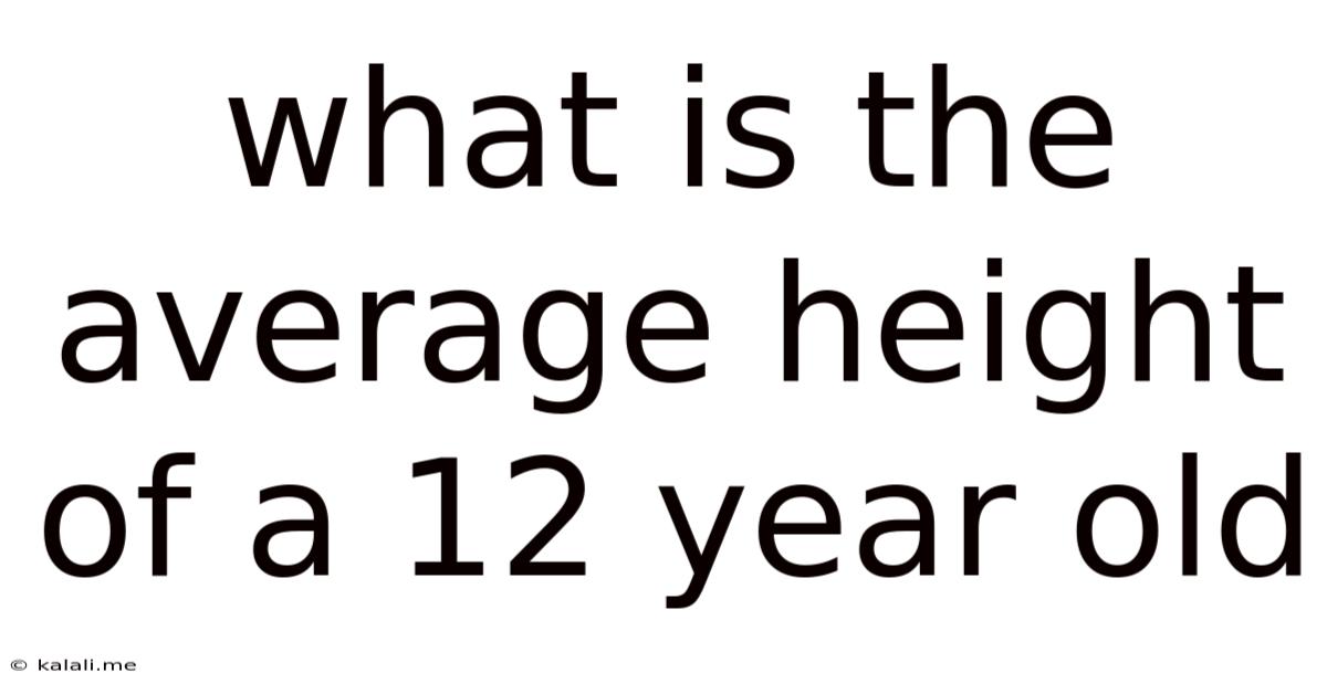 What Is The Average Height Of A 12 Year Old