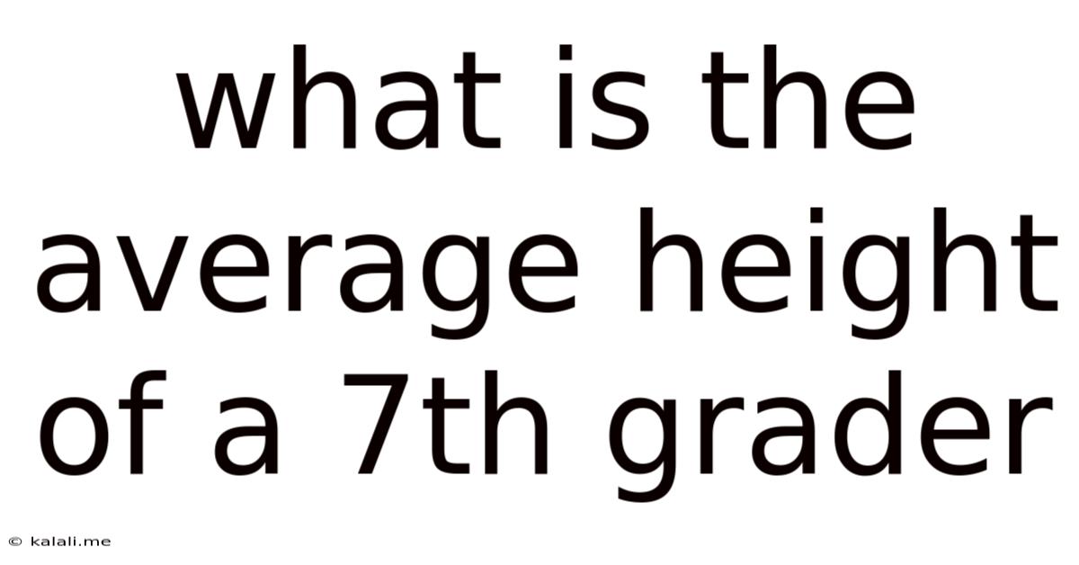 What Is The Average Height Of A 7th Grader