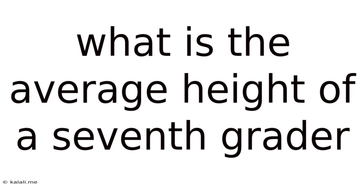 What Is The Average Height Of A Seventh Grader
