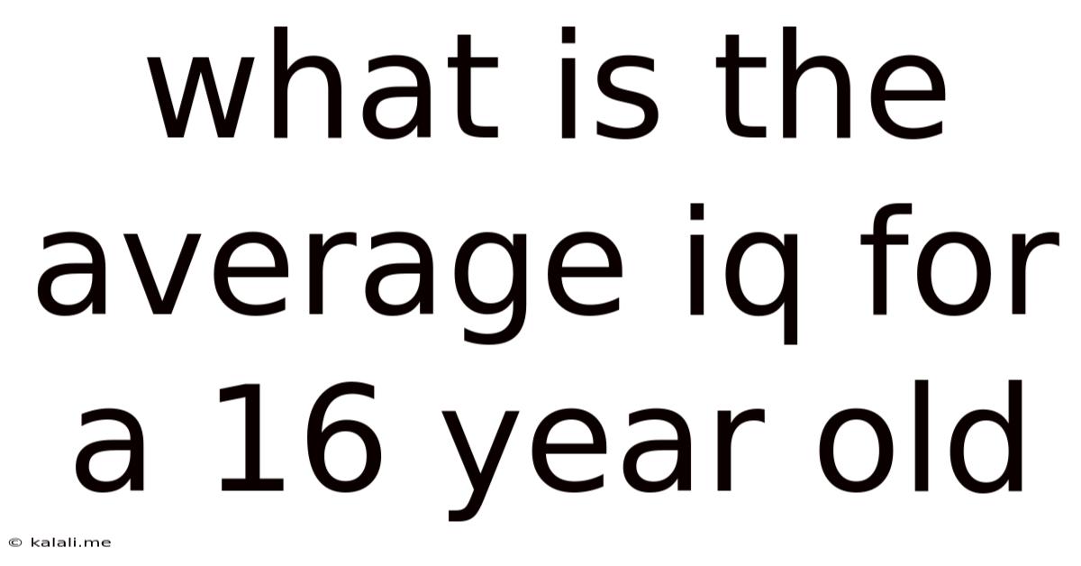 What Is The Average Iq For A 16 Year Old
