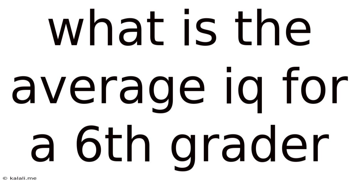What Is The Average Iq For A 6th Grader