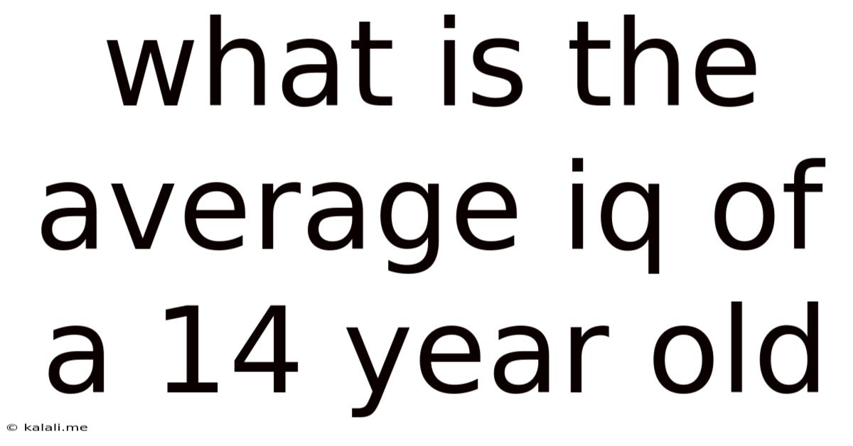 What Is The Average Iq Of A 14 Year Old