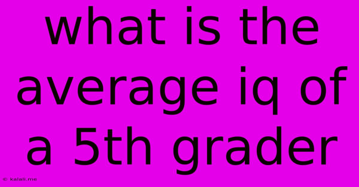 What Is The Average Iq Of A 5th Grader
