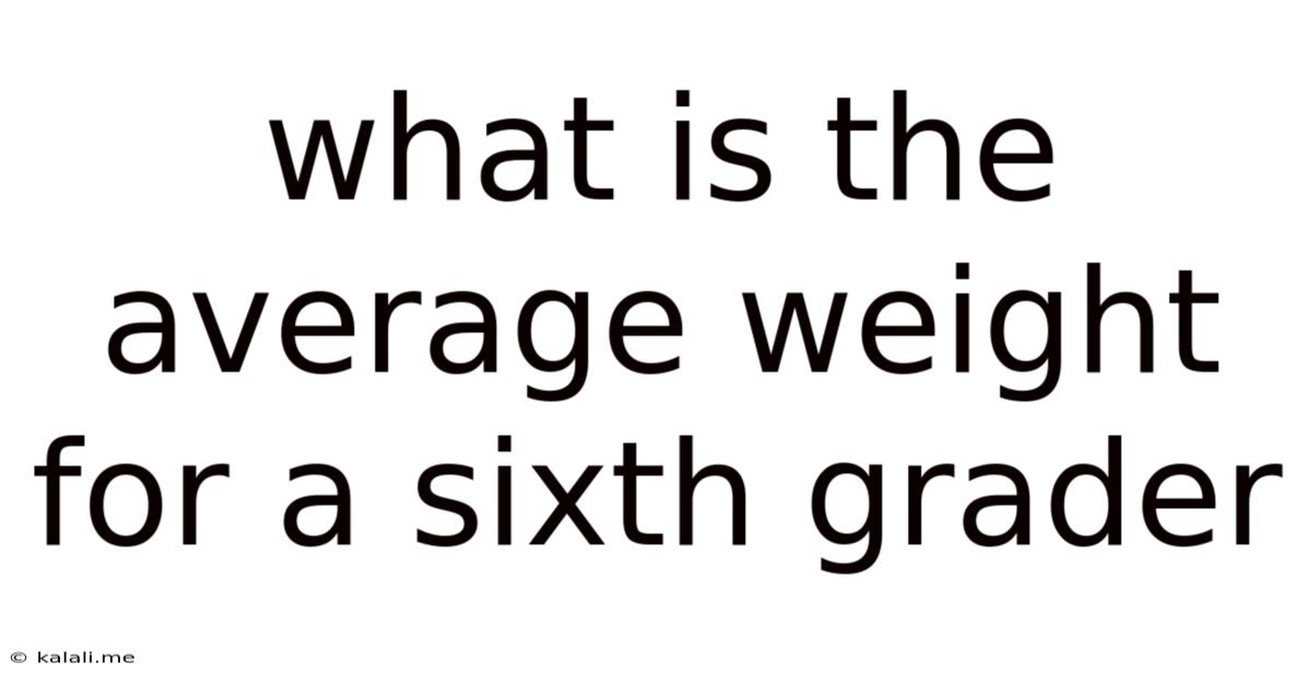 What Is The Average Weight For A Sixth Grader