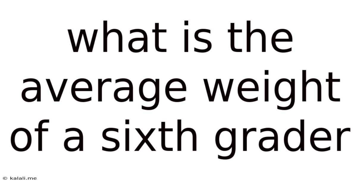 What Is The Average Weight Of A Sixth Grader
