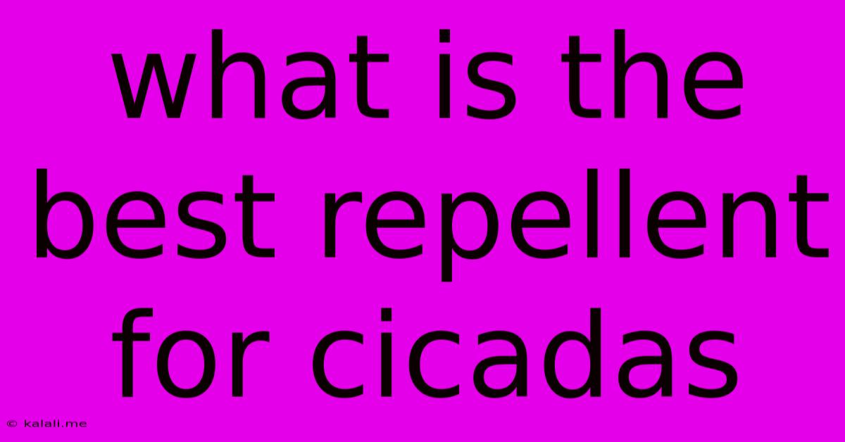 What Is The Best Repellent For Cicadas