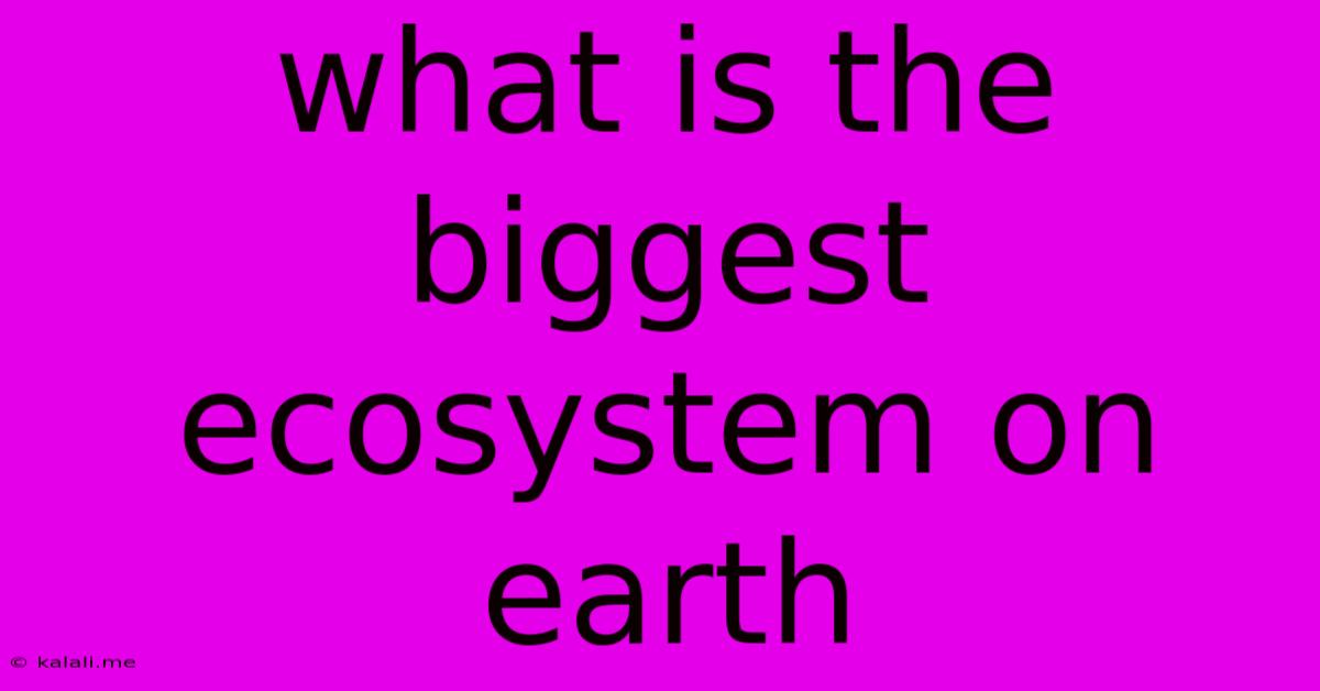 What Is The Biggest Ecosystem On Earth