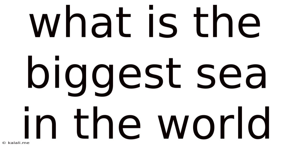 What Is The Biggest Sea In The World