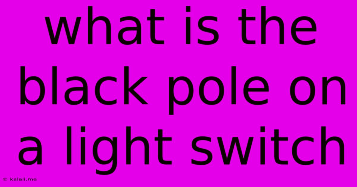 What Is The Black Pole On A Light Switch