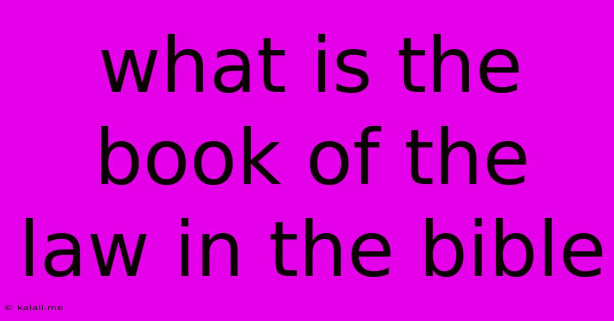 What Is The Book Of The Law In The Bible