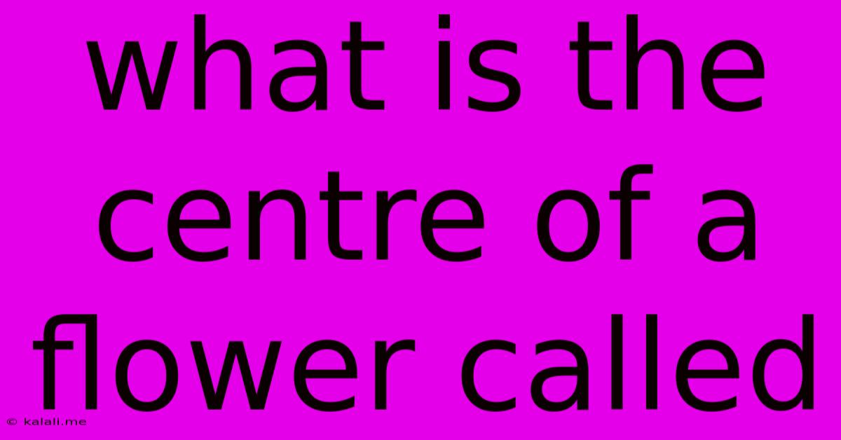 What Is The Centre Of A Flower Called