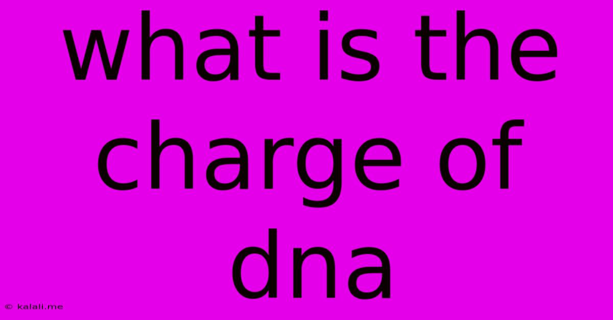 What Is The Charge Of Dna
