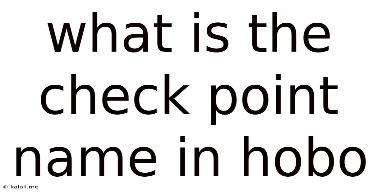 What Is The Check Point Name In Hobo