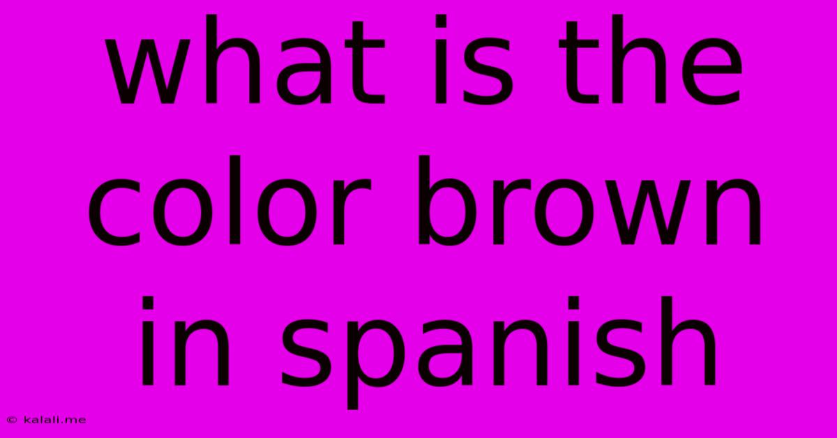 What Is The Color Brown In Spanish
