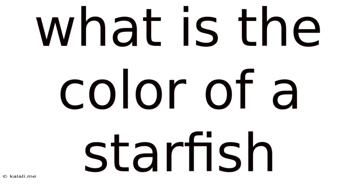 What Is The Color Of A Starfish