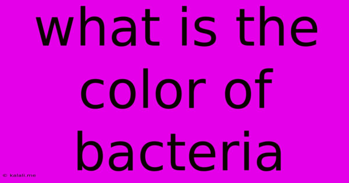 What Is The Color Of Bacteria