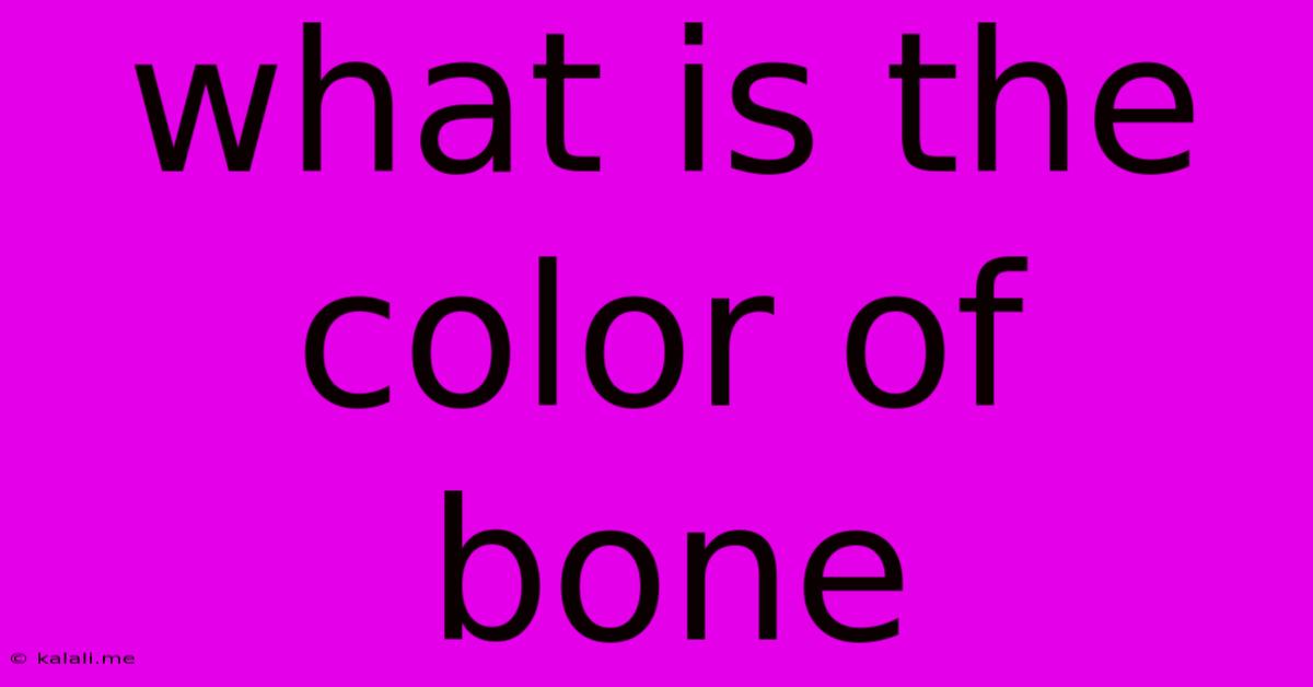 What Is The Color Of Bone