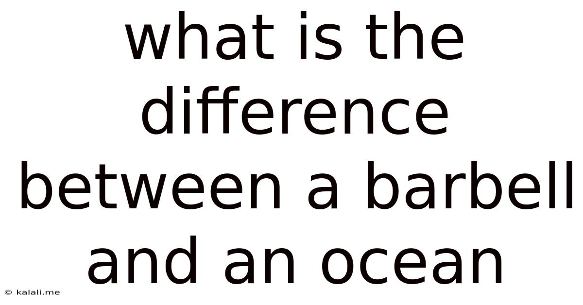 What Is The Difference Between A Barbell And An Ocean