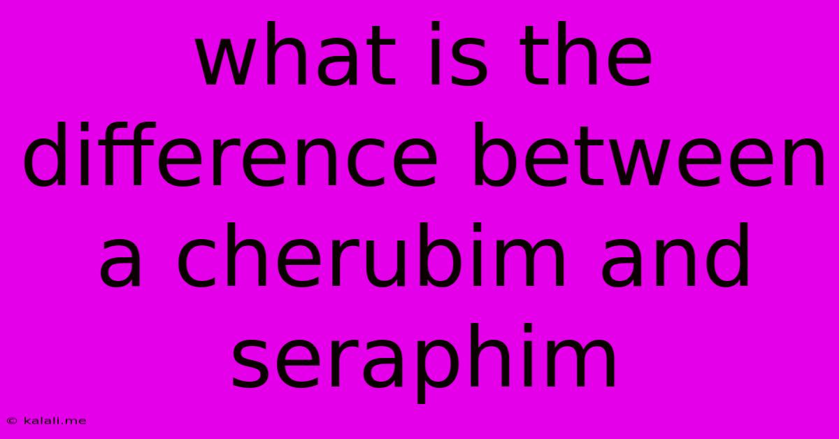 What Is The Difference Between A Cherubim And Seraphim